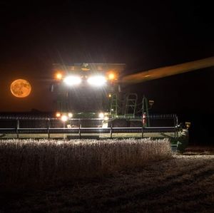 Meet your Posher, James